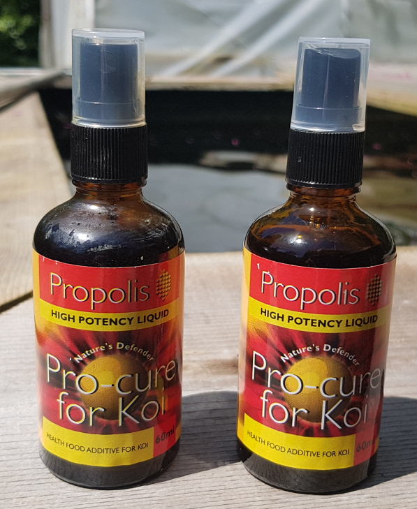 Propolis